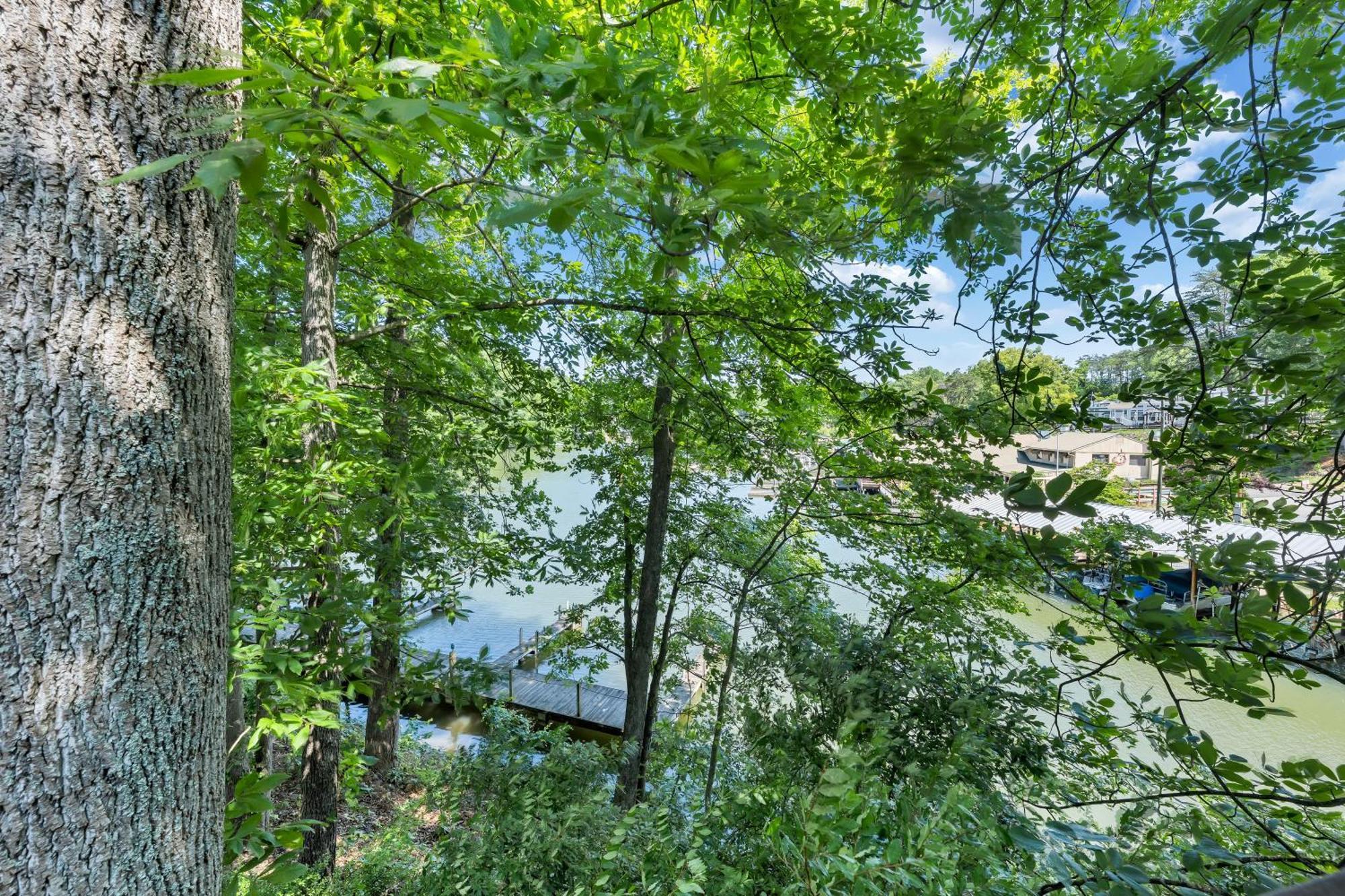 Halesford Harbour Resort - Smith Mountain Lake Moneta Exterior foto